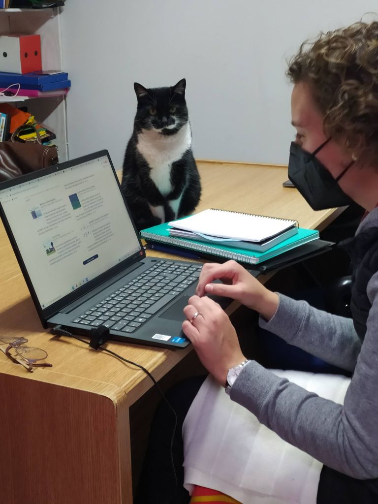 OFICINA GATUNA - Universidad Rey Juan Carlos - Cátedra animales y sociedad